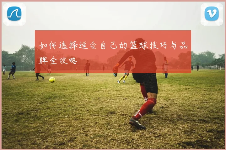 如何选择适合自己的篮球技巧与品牌全攻略