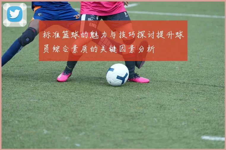 标准篮球的魅力与技巧探讨提升球员综合素质的关键因素分析
