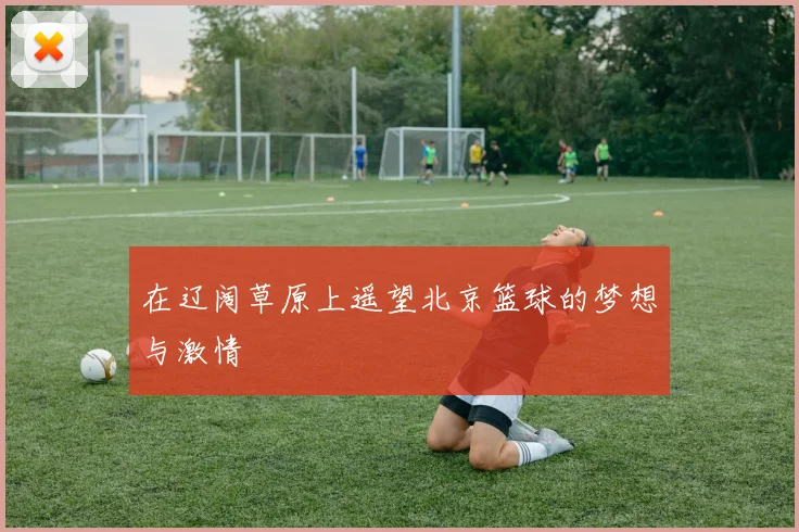 在辽阔草原上遥望北京篮球的梦想与激情
